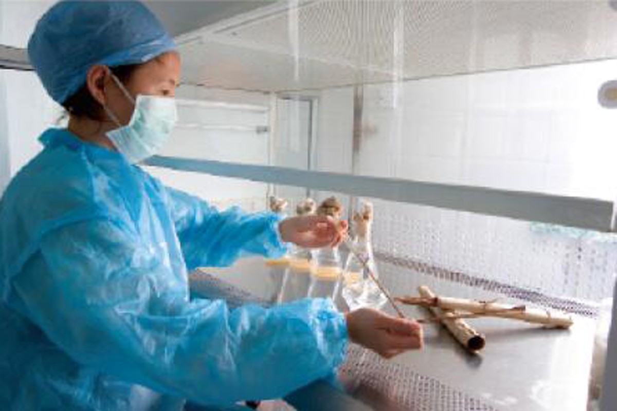 开云·kaiyun体育官方网站