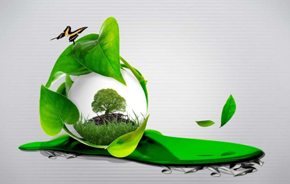 开云·kaiyun体育官方网站