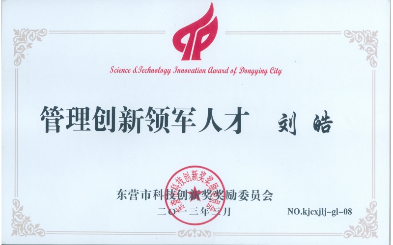 刘皓总经理获政府表彰