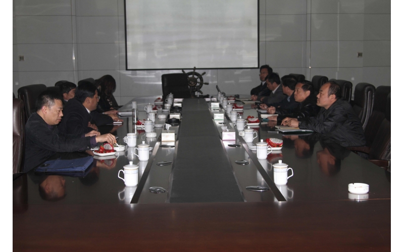 王吉能副市长一行到我公司调研