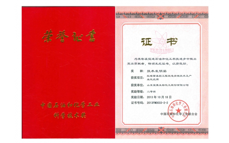 公司获国家“技术发明”二等奖